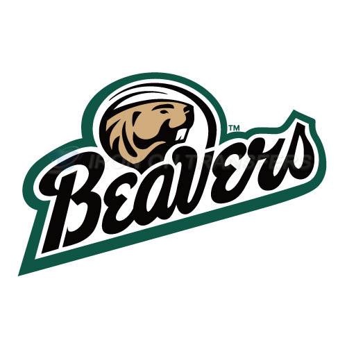 Bemidji State Beavers 2004 Pres Iron-on Stickers (Heat Transfers)NO.3995